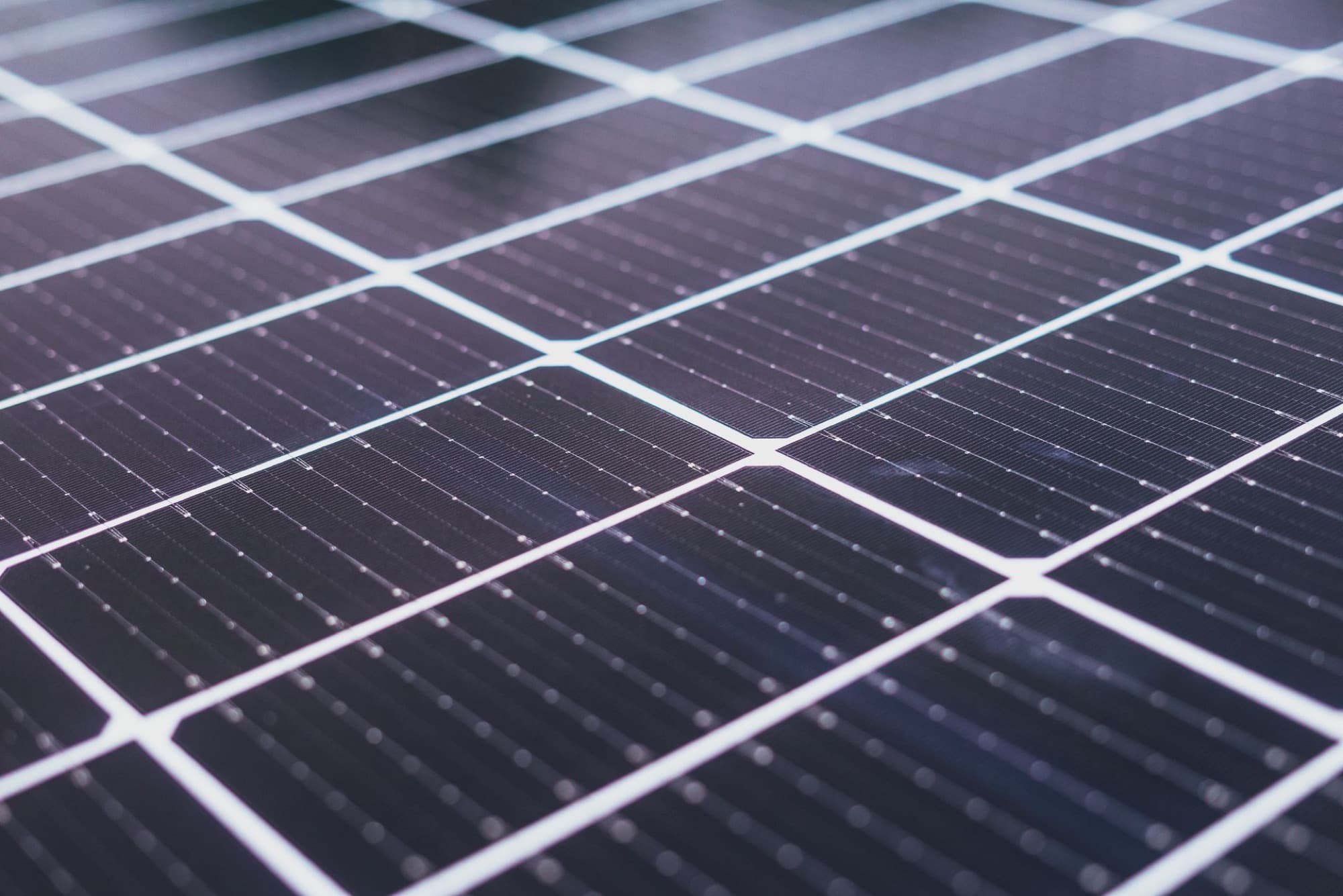 Close-up of the cells and busbars on a solar module