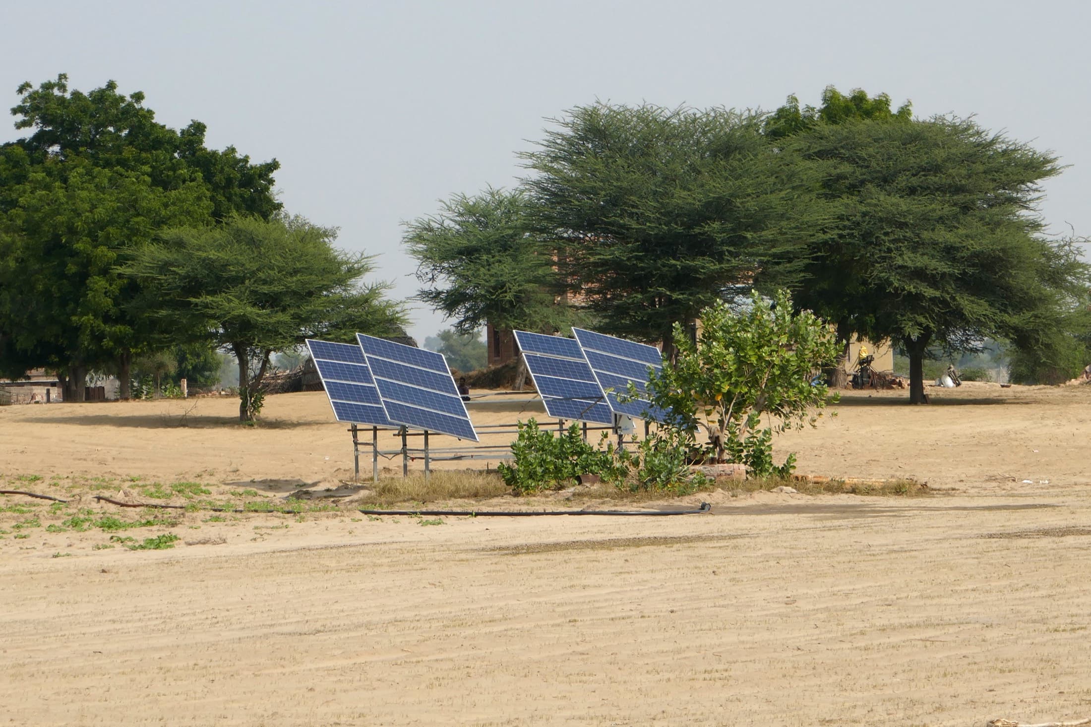 Small off-grid arrays under the trees of a Thar desert village, Rajasthan